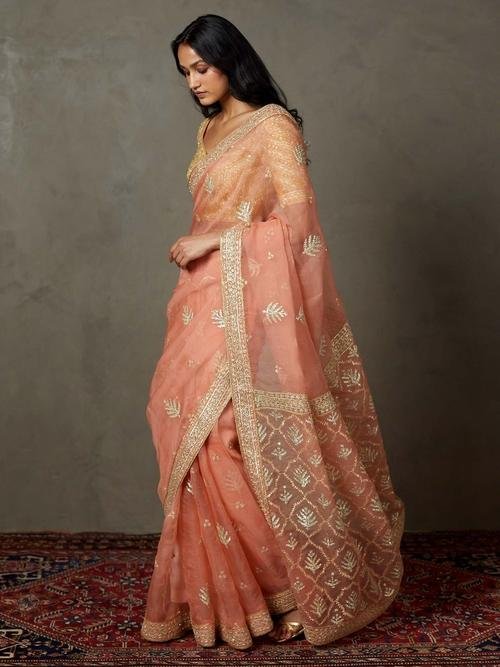Coral Sterling Saree With Stitched Blouse - Image 5